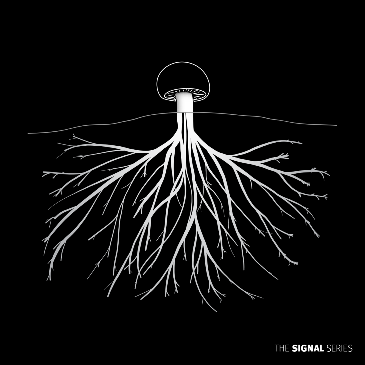 Cover image, an illustration of a mushroom with roots, in a black background